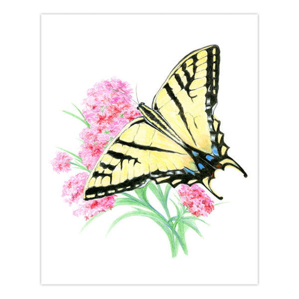 Royal And Langnickel AVS-DME202 | Drawing Made Easy™ 26pc 8" X 10" Butterflies 4 Project Box Set
