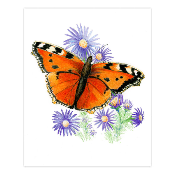 Royal And Langnickel AVS-DME202 | Drawing Made Easy™ 26pc 8" X 10" Butterflies 4 Project Box Set