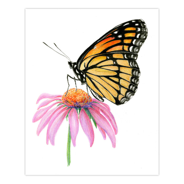 Royal And Langnickel AVS-DME202 | Drawing Made Easy™ 26pc 8" X 10" Butterflies 4 Project Box Set