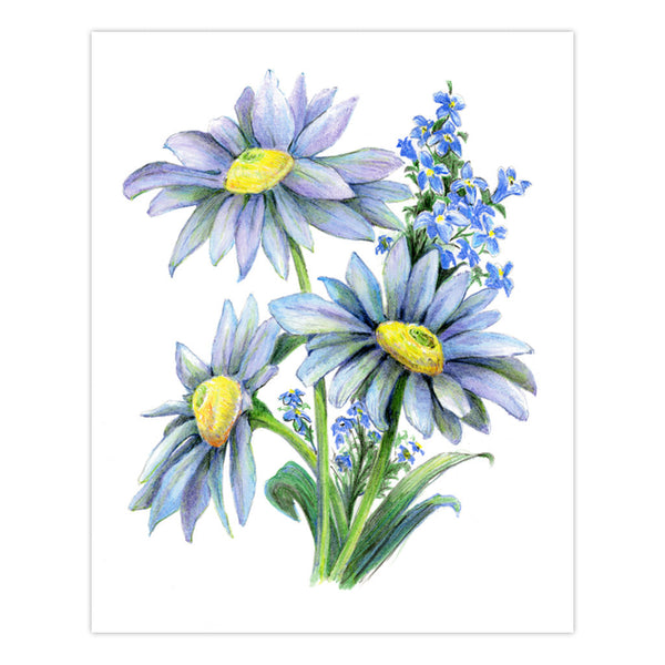 Royal And Langnickel AVS-DME203 | Drawing Made Easy™ 26pc 8" X 10" Flowers 4 Project Box Set