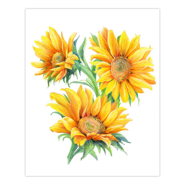 Royal And Langnickel AVS-DME203 | Drawing Made Easy™ 26pc 8" X 10" Flowers 4 Project Box Set