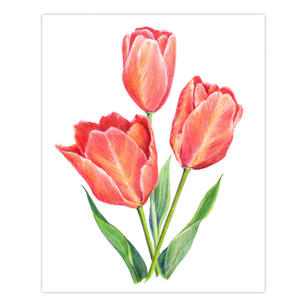 Royal And Langnickel AVS-DME203 | Drawing Made Easy™ 26pc 8" X 10" Flowers 4 Project Box Set