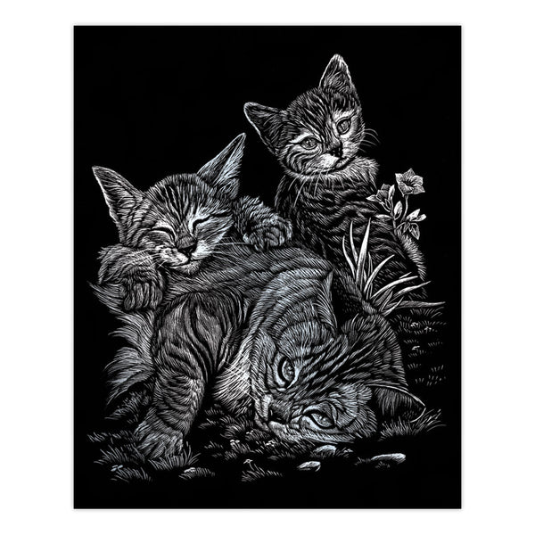 Royal And Langnickel AVS-SIL205 | Engraving Art™ 15pc 6 Project Silver Foil Box Set