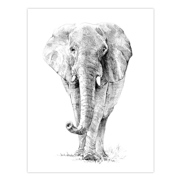 Royal And Langnickel AVS-SME214 | Sketching Made Easy™ 21pc 8" X 10" Zoo Animals 4 Project Box Set
