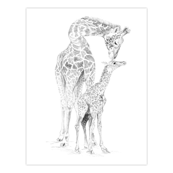 Royal And Langnickel AVS-SME214 | Sketching Made Easy™ 21pc 8" X 10" Zoo Animals 4 Project Box Set