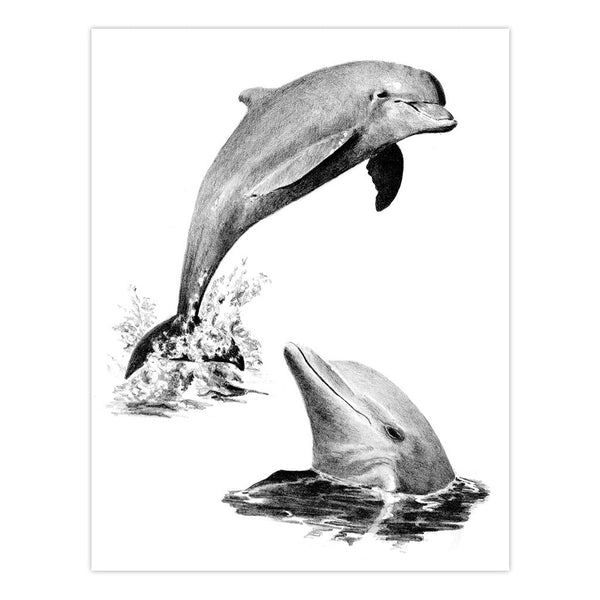 Royal And Langnickel AVS-SME215 | Sketching Made Easy™ 21pc 8" X 10" Sea Life 4 Project Box Set