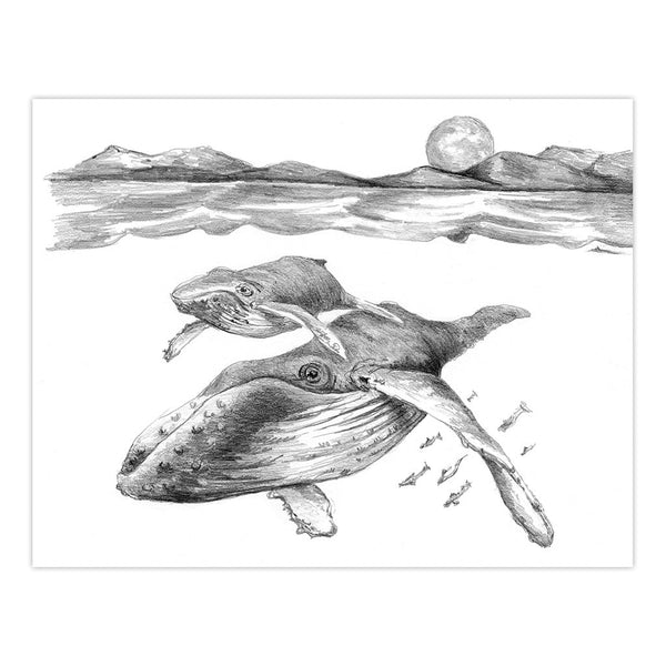 Royal And Langnickel AVS-SME215 | Sketching Made Easy™ 21pc 8" X 10" Sea Life 4 Project Box Set