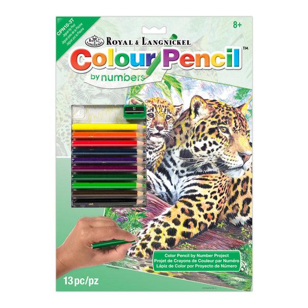 royal and langnickel CPN10 | Colour Pencil by numbers™ 13pc 8.75" x 11.75" Jaguar by Pool Project