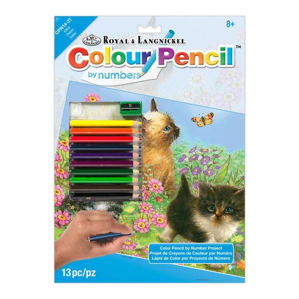 royal and langnickel CPN14 | Colour Pencil by numbers™ 13pc 8.75" x 11.75" Kittens Project