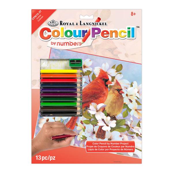 royal and langnickel CPN15 | Colour Pencil by numbers™ 13pc 8.75" x 11.75" Cardinals Project