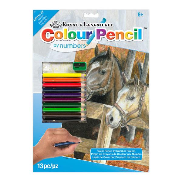 royal and langnickel CPN16 | Colour Pencil by numbers™ 13pc 8.75" x 11.75" Buck's Pal Project