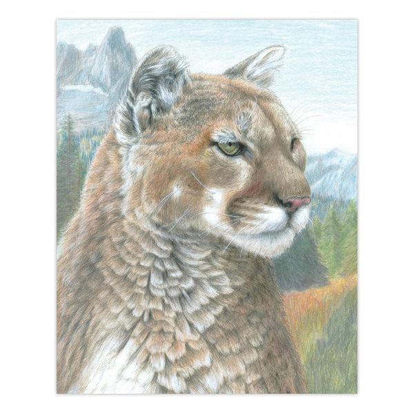 Royal And Langnickel CPN17 | Colour Pencil By Numbers™ 13pc 8.75" X 11.75" Cougar Eyes Project