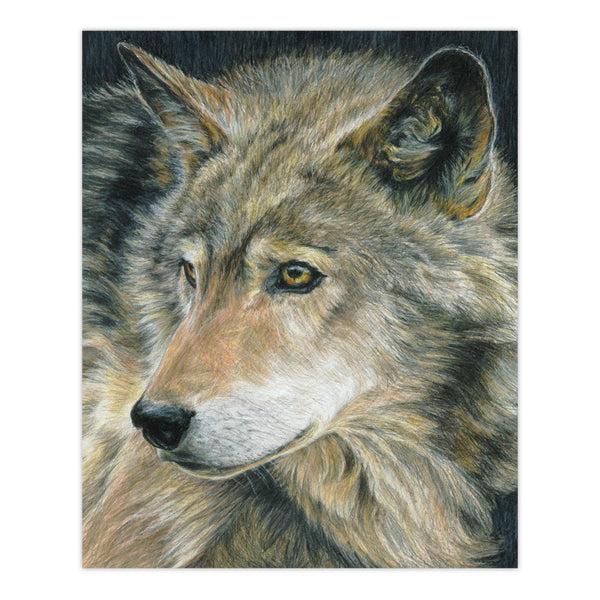 Royal And Langnickel CPN18 | Colour Pencil By Numbers™ 13pc 8.75" X 11.75" Curious Eyes Project