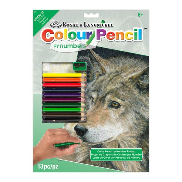 royal and langnickel CPN18 | Colour Pencil by numbers™ 13pc 8.75" x 11.75" Curious Eyes Project