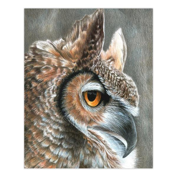 Royal And Langnickel CPN19 | Colour Pencil By Numbers™ 13pc 8.75" X 11.75" Sepia Owl Project