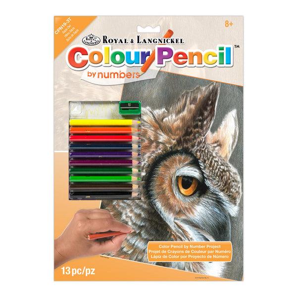 royal and langnickel CPN19 | Colour Pencil by numbers™ 13pc 8.75" x 11.75" Sepia Owl Project