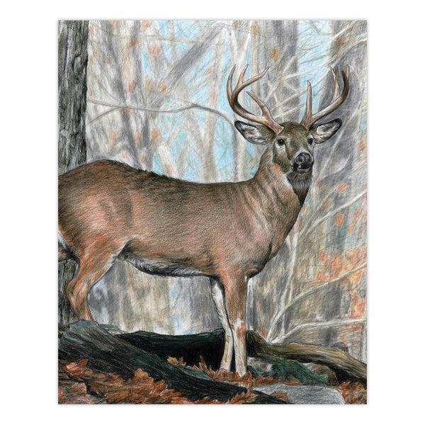 Royal And Langnickel CPN21 | Colour Pencil By Numbers™ 13pc 8.75" X 11.75" Whitetail Buck Project