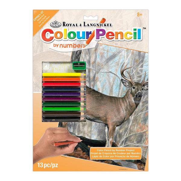 royal and langnickel CPN21 | Colour Pencil by numbers™ 13pc 8.75" x 11.75" Whitetail Buck Project