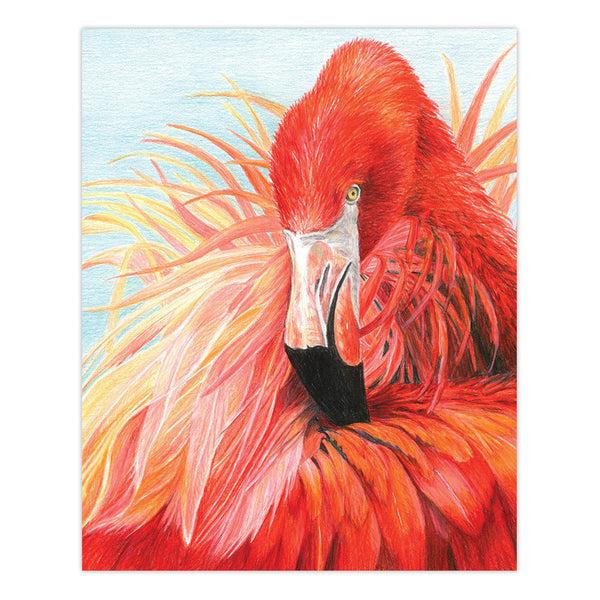 Royal And Langnickel CPN23 | Colour Pencil By Numbers™ 13pc 8.75" X 11.75" Flamingo Project