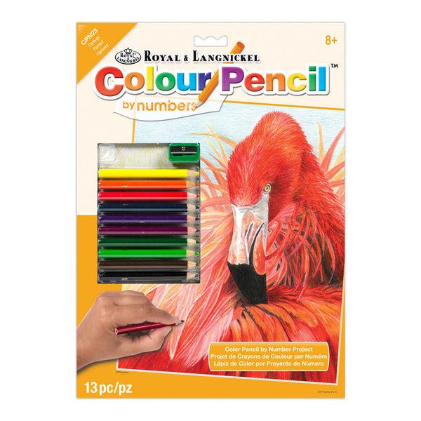 royal and langnickel CPN23 | Colour Pencil by numbers™ 13pc 8.75" x 11.75" Flamingo Project