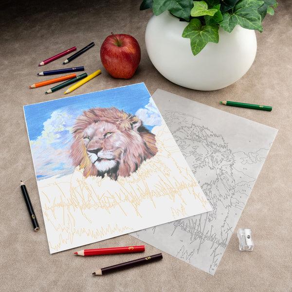 Royal And Langnickel CPN27 | Colour Pencil By Numbers™ 13pc 8.75" X 11.75" The August Patrician Project