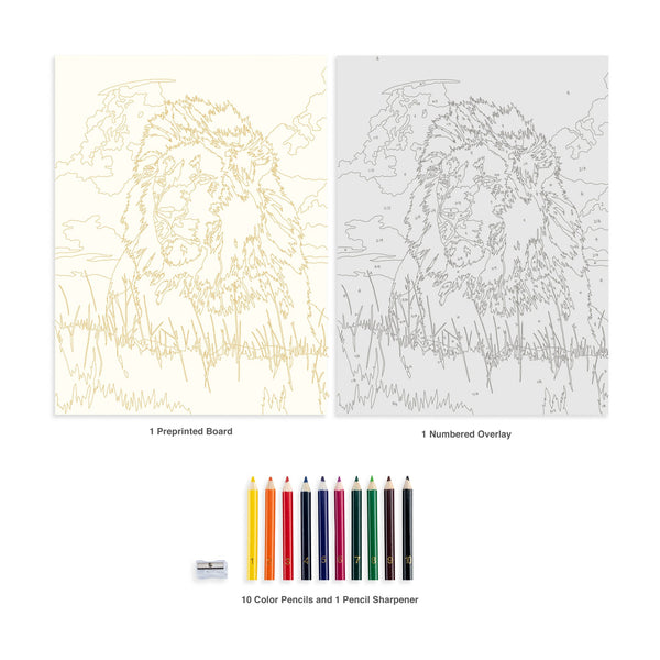 Royal And Langnickel CPN27 | Colour Pencil By Numbers™ 13pc 8.75" X 11.75" The August Patrician Project