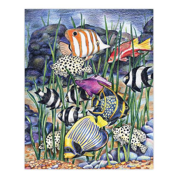 Royal And Langnickel CPN7 | Colour Pencil By Numbers™ 13pc 8.75" X 11.75" Tropical Fish Project