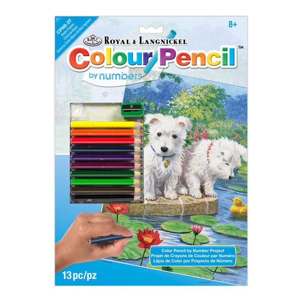 royal and langnickel CPN8 | Colour Pencil by numbers™ 13pc 8.75" x 11.75" Westie Puppies Project