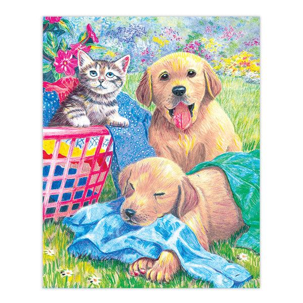 Royal And Langnickel CPN9 | Colour Pencil By Numbers™ 13pc 8.75" X 11.75" Wash Day Fun Project