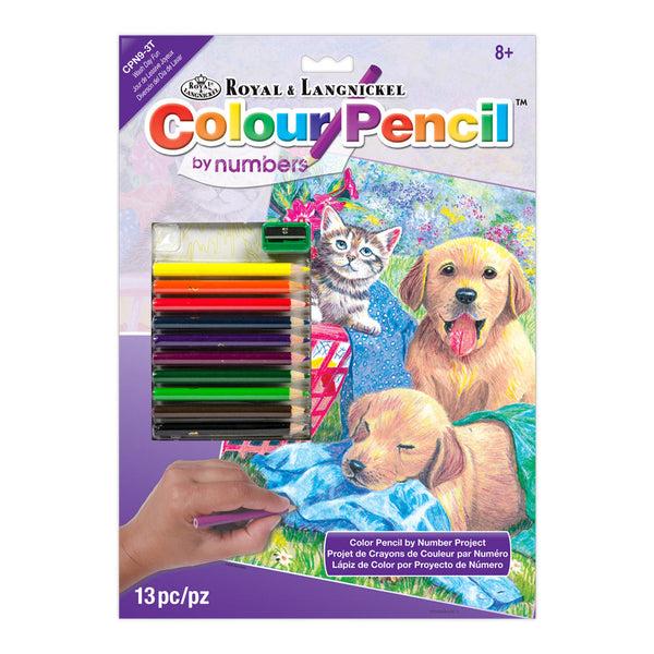 royal and langnickel CPN9 | Colour Pencil by numbers™ 13pc 8.75" x 11.75" Wash Day Fun Project