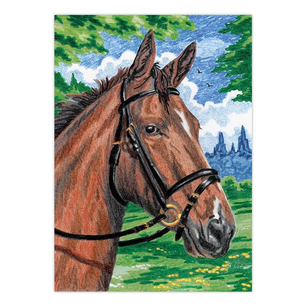 Royal And Langnickel CPNMIN-101 | Colour Pencil By Numbers™ 12pc 5" X 7" Horse Project