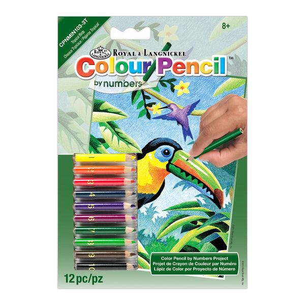 royal and langnickel CPNMIN-103 | Colour Pencil by numbers™ 12pc 5" x 7" Tropical Birds Project