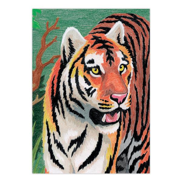 Royal And Langnickel CPNMIN-104 | Colour Pencil By Numbers™ 12pc 5" X 7" Jungle Tiger Project