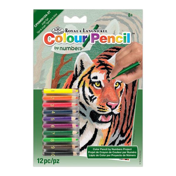 royal and langnickel CPNMIN-104 | Colour Pencil by numbers™ 12pc 5" x 7" Jungle Tiger Project