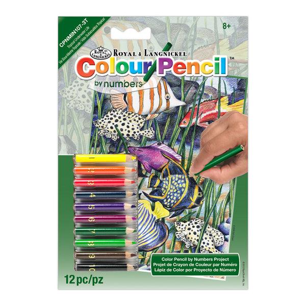royal and langnickel CPNMIN-107 | Colour Pencil by numbers™ 12pc 5" x 7" Tropical Sea Life Project
