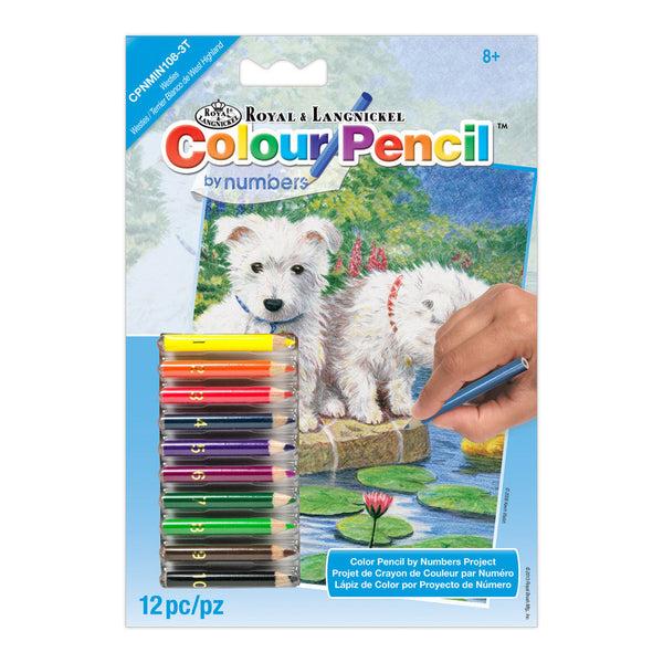 royal and langnickel CPNMIN-108 | Colour Pencil by numbers™ 12pc 5" x 7" Westies Project