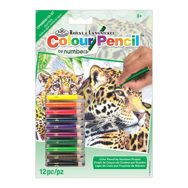 royal and langnickel CPNMIN-110 | Colour Pencil by numbers™ 12pc 5" x 7" Jaguars Project