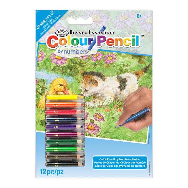 royal and langnickel CPNMIN-113 | Colour Pencil by numbers™ 12pc 5" x 7" Kitten & Duckling Project