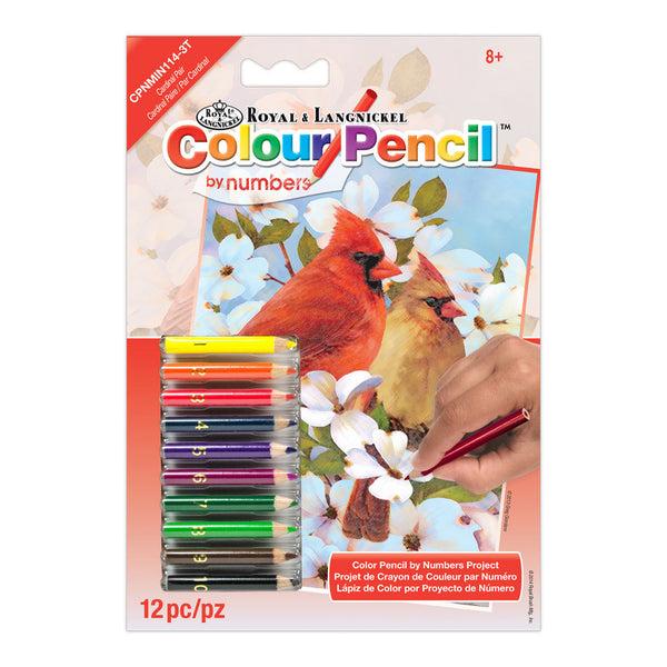 royal and langnickel CPNMIN-114 | Colour Pencil by numbers™ 12pc 5" x 7" Cardinal Pair Project
