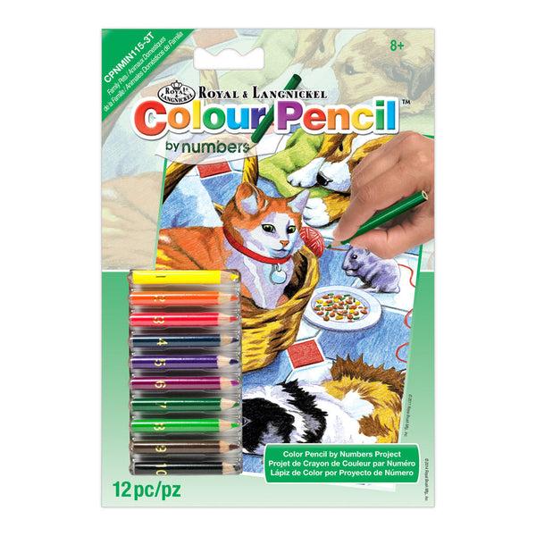 royal and langnickel CPNMIN-115 | Colour Pencil by numbers™ 12pc 5" x 7" Family Pets Project