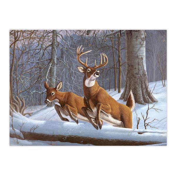 Royal And Langnickel PAL34 | Painting By Numbers™ 13pc 11.25" X 13.375" White Tails Painting Project