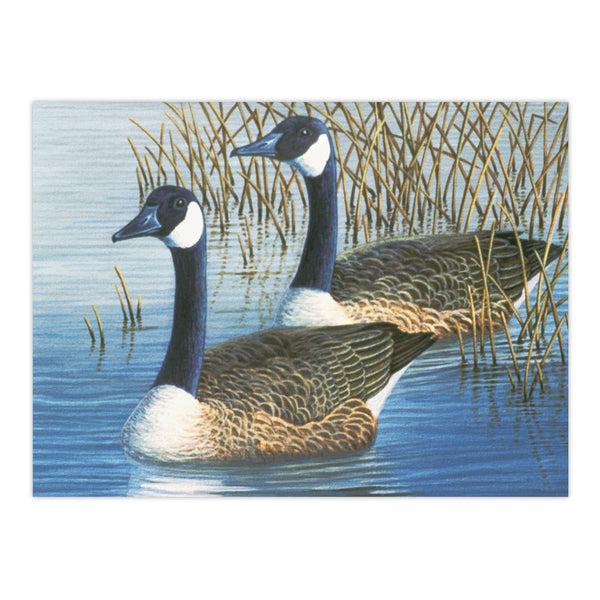 Royal And Langnickel PAL35 | Painting By Numbers™ 13pc 11.25" X 13.375" Geese Painting Project