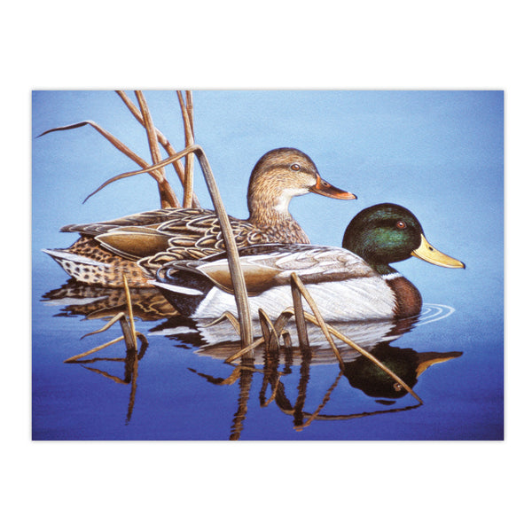 Royal And Langnickel PAL38 | Painting By Numbers™ 13pc 11.25" X 13.375" Blue Water Mallards Painting Project