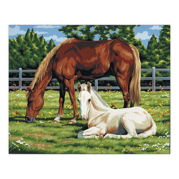 Royal And Langnickel PCL2 | Painting By Numbers™ 13pc 11" X 14" Horses In Field Canvas Painting Project