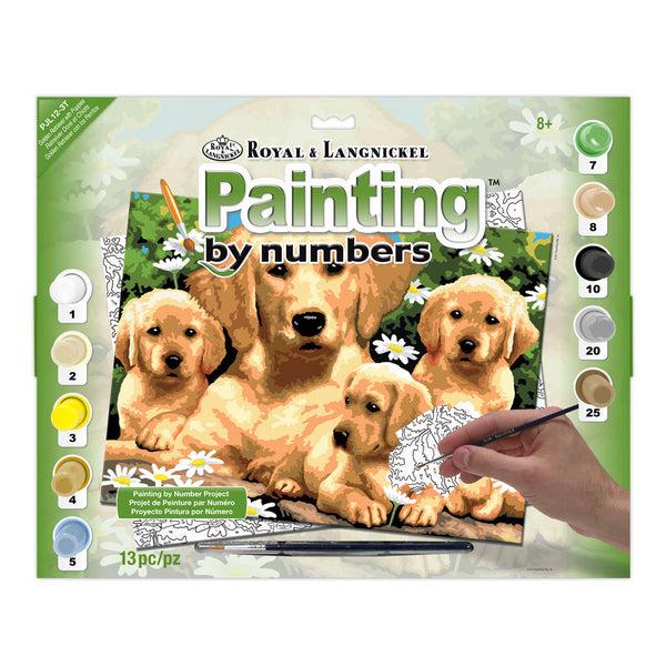 royal and langnickel PJL12 | Painting by numbers™ 13pc 11.25" x 15.375" Golden Retriever Puppies Painting Project
