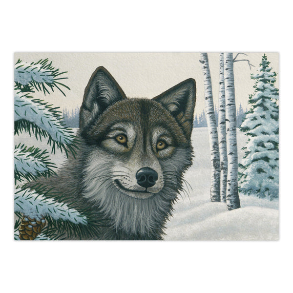 Royal And Langnickel PJL29 | Painting By Numbers™ 13pc 11.25" X 15.375" Snow Wolf Painting Project