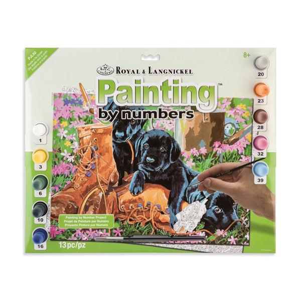 royal and langnickel PJL52 | Painting by numbers™ 13pc 11.25" x 15.375" Trouble In The Garden Painting Project