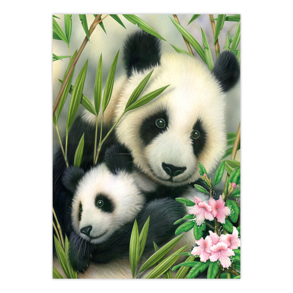 Royal And Langnickel PJS39 | Painting By Numbers™ 10pc 8.75" X 11.375" Panda & Baby Painting Project