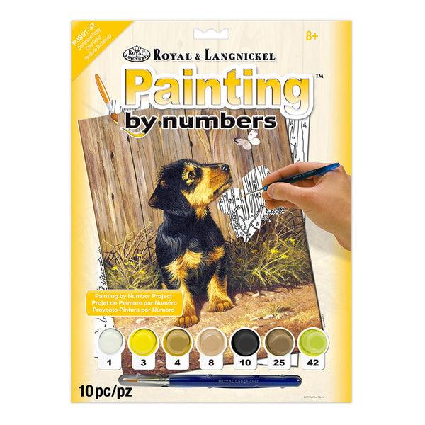 royal and langnickel PJS51 | Painting by numbers™ 10pc 8.75" x 11.375" Dachshund Puppy Painting Project