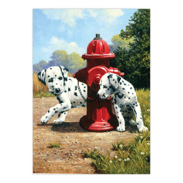 Royal And Langnickel PJS80 | Painting By Numbers™ 10pc 8.75" X 11.375" Peek-a-Boo Painting Project